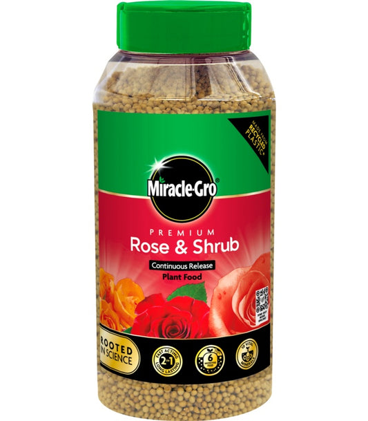 Miracle-Gro Premium Rose & Shrub plant food container on a white background
