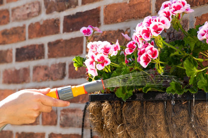 Person watering pink flowers in a pot against a brick wall
