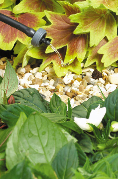 Drip irrigation system watering plants in a garden with green leaves and white flowers.