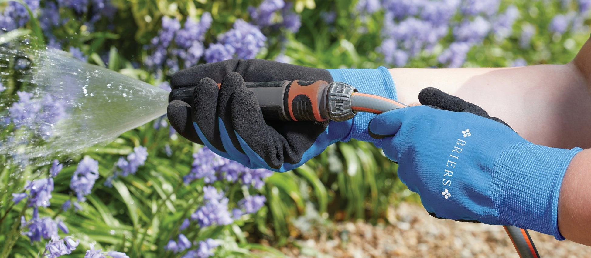 Person wearing blue gardening gloves holding a hose with water spraying towards flowers.