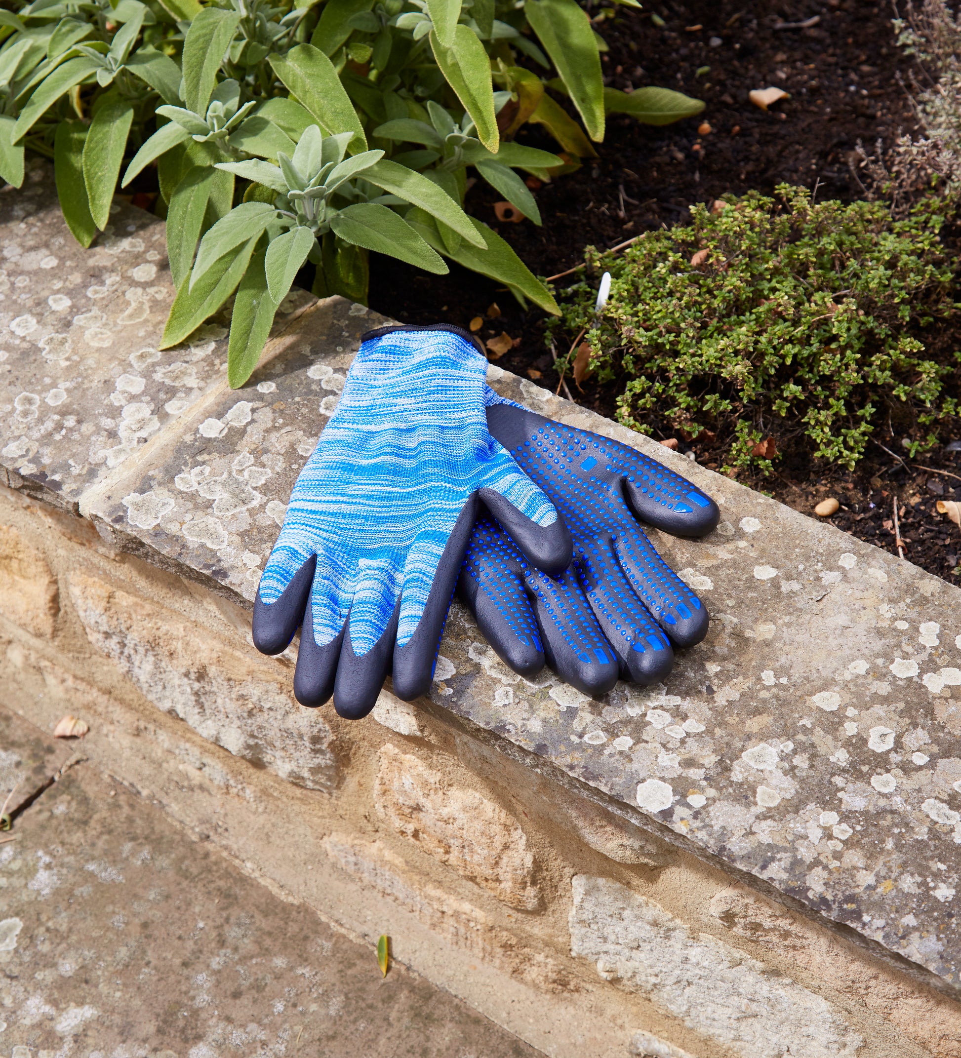 Pair of blue gardening gloves on a stone surface with plants in the background