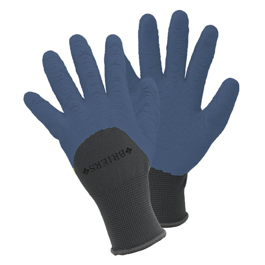 Pair of blue gloves with black cuffs on a white background