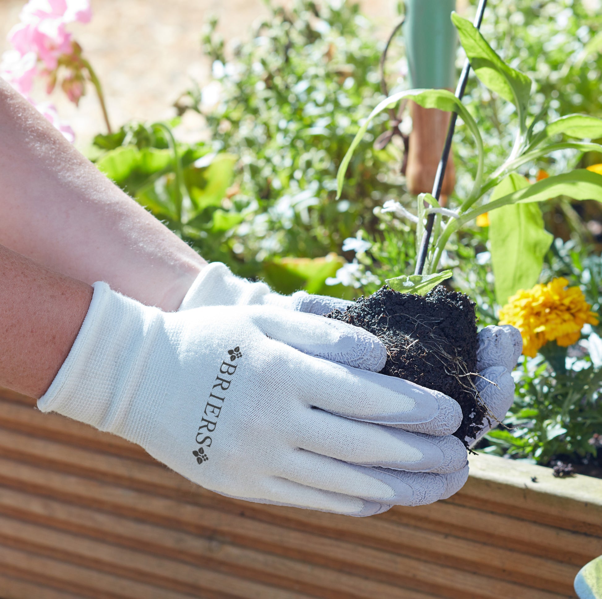 Person wearing gardening gloves holding a plant with a garden background