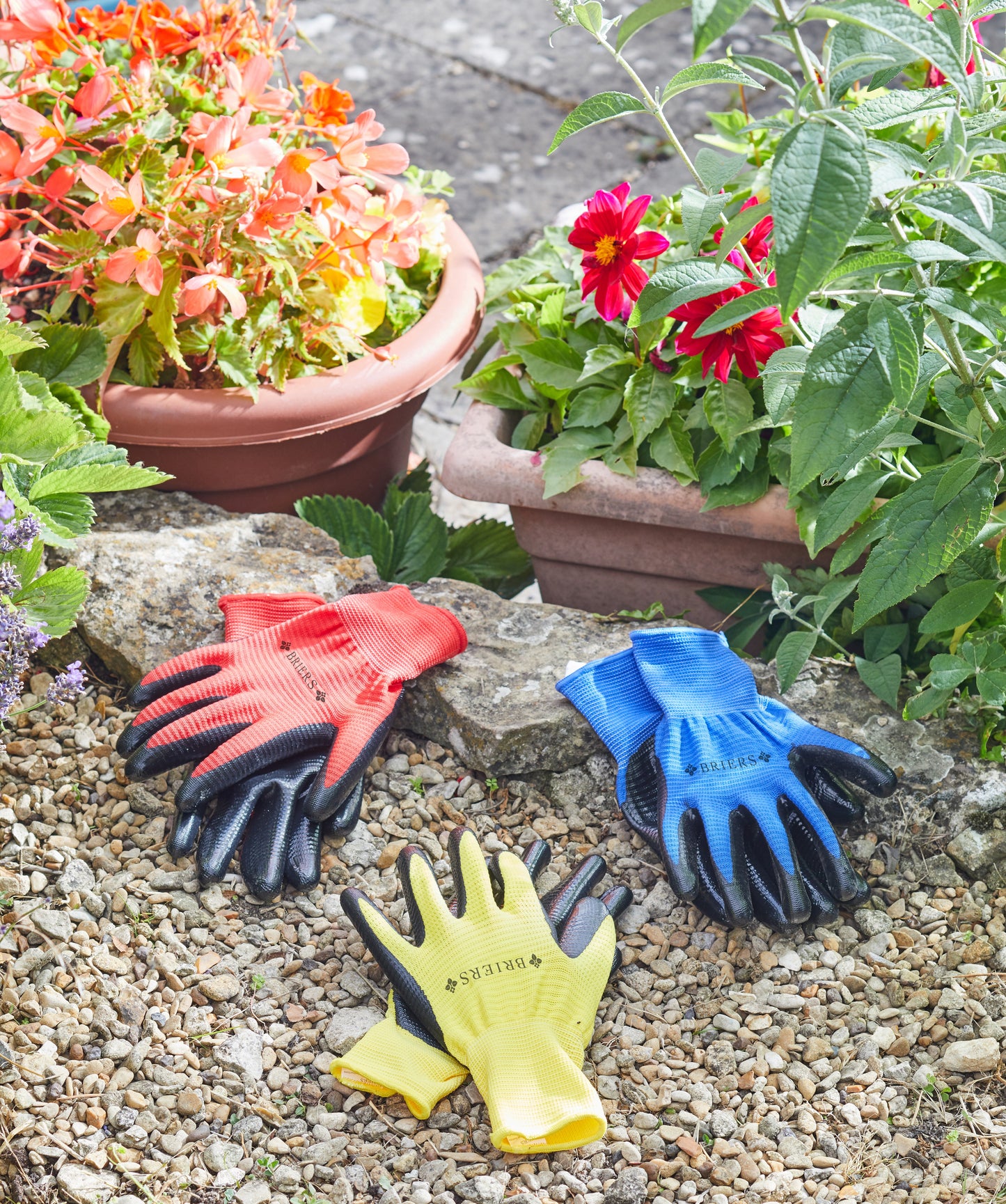 Set of 3 gloves on stones next to plants