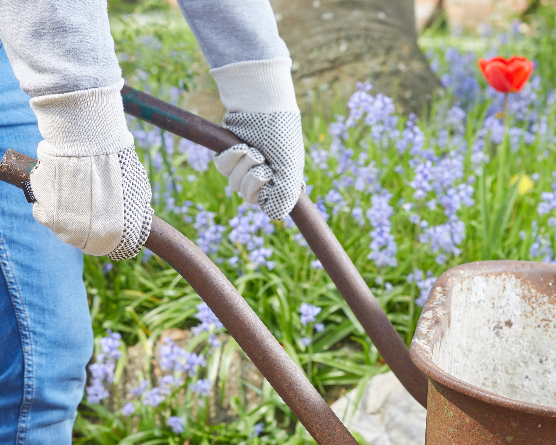 Gloved hands pushing a wheelbarrow