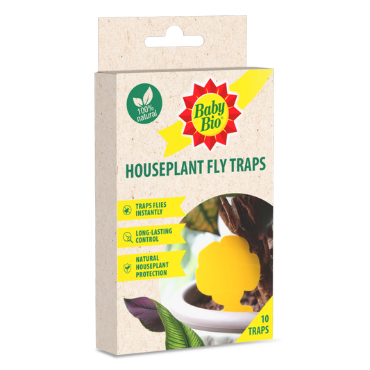 Box of Baby Bio houseplant fly traps on a white background