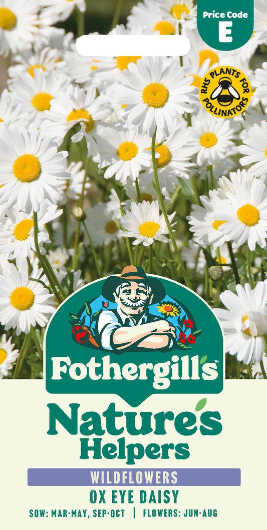 Mr Fothergill's Ox Eye Daisy Seeds Packet