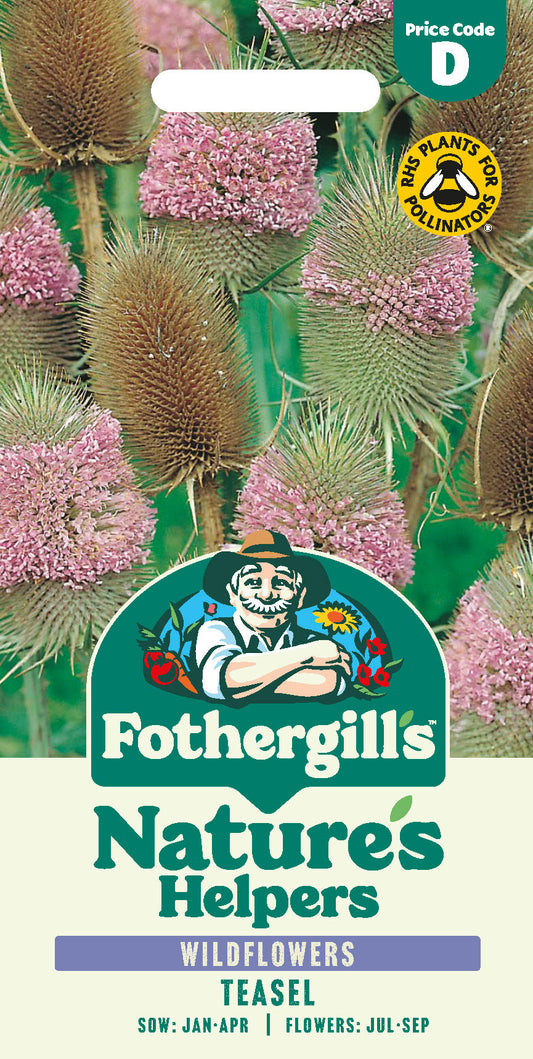 Mr Fothergill's Teasel Seeds Packet