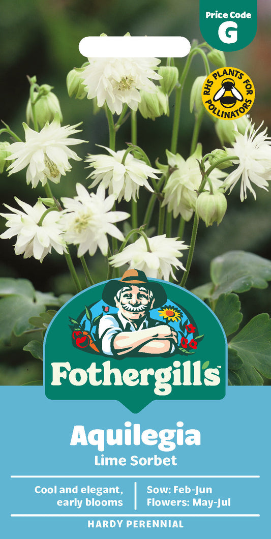 Mr Fothergill's Aquilegia Lime Sorbet Seeds Packet