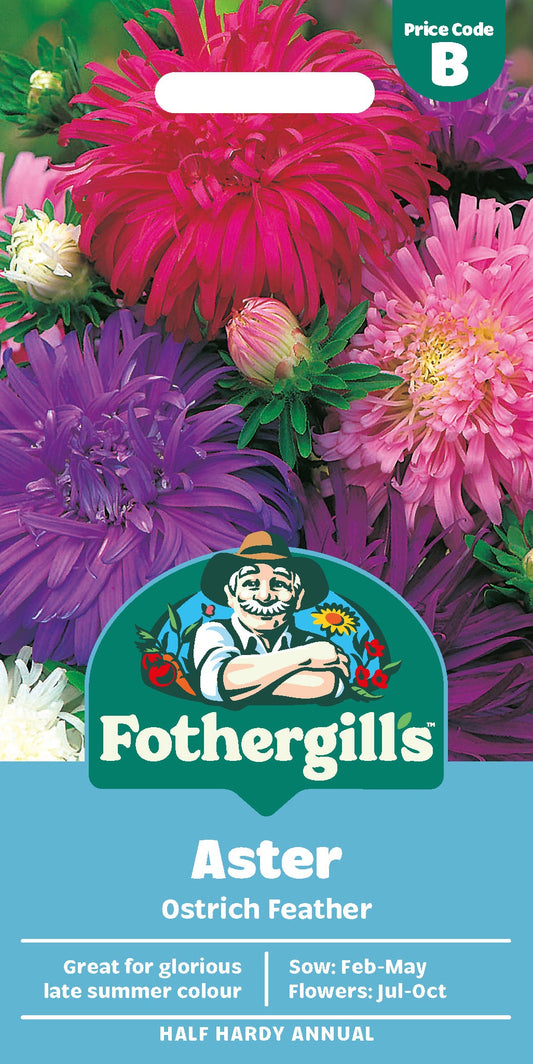 Mr Fothergill's Aster Ostrich Feather Seeds Packet