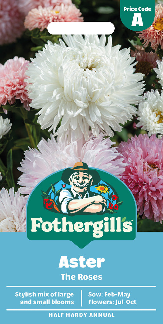 Mr Fothergill's Aster The Roses Seeds Packet
