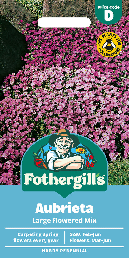 Mr Fothergill's Aubrieta Large Flowered Mix Seeds Packet