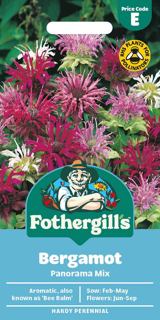 Mr Fothergill's Bergamot Panorama Mix Seeds Packet