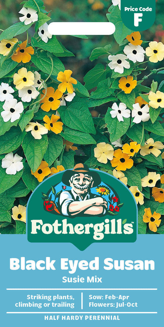 Mr Fothergill's Black Eyed Susan Susie Mix Seeds Packet
