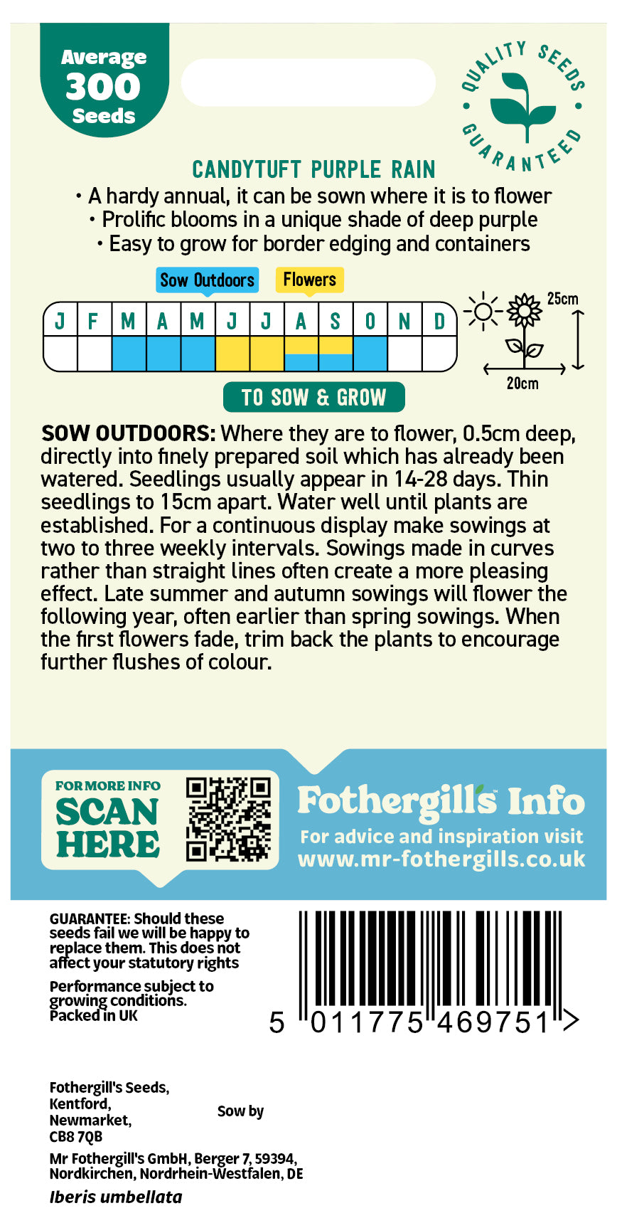 Mr Fothergill's Candytuft Purple Rain Seeds Packet