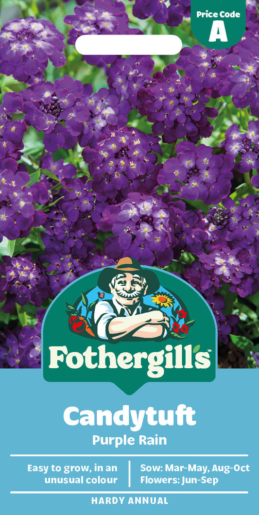 Mr Fothergill's Candytuft Purple Rain Seeds Packet
