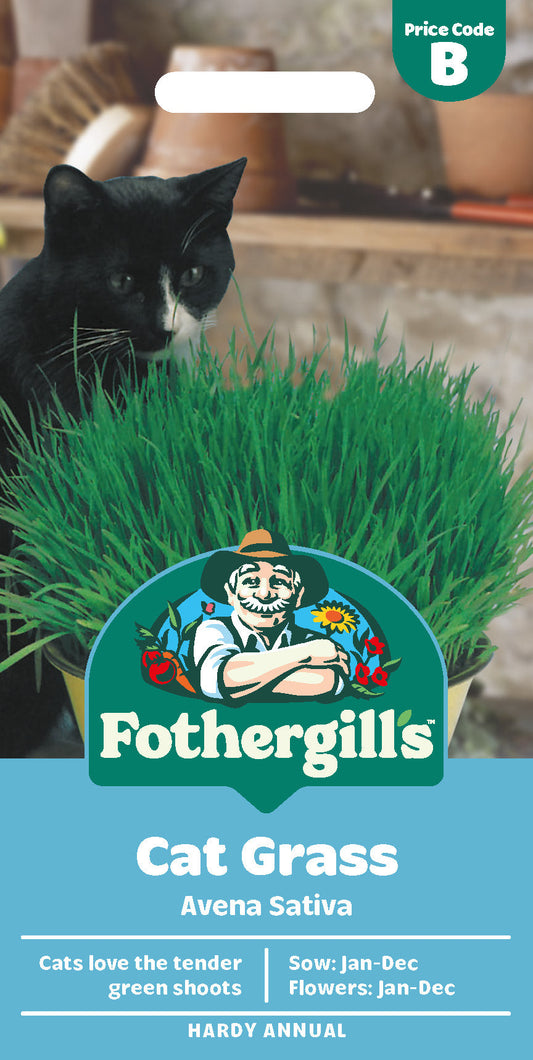Mr Fothergill's Cat Grass Avena Sativa Seeds Packet