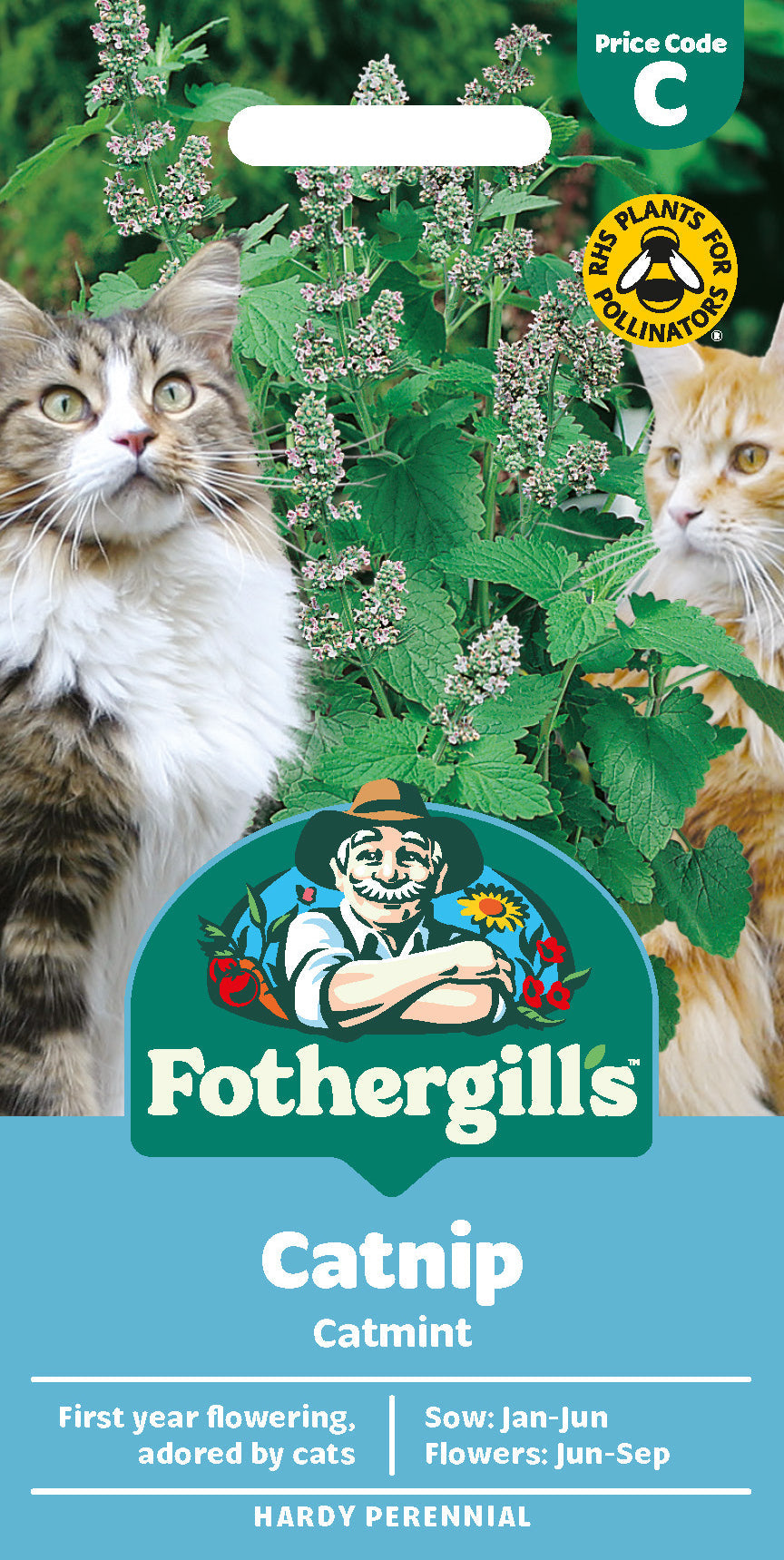 Mr Fothergill's Catmint Catnip Seeds Packet