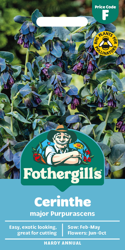 Mr Fothergill's Cerinthe Major Purpurascens Seeds Packet