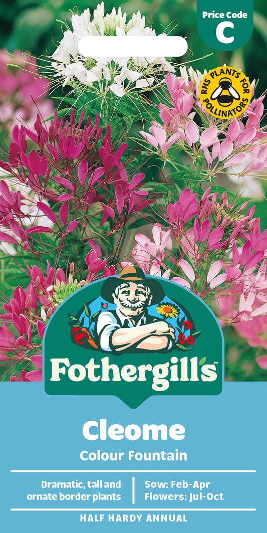 Mr Fothergill's Cleome Colour Fountain Seeds Packet