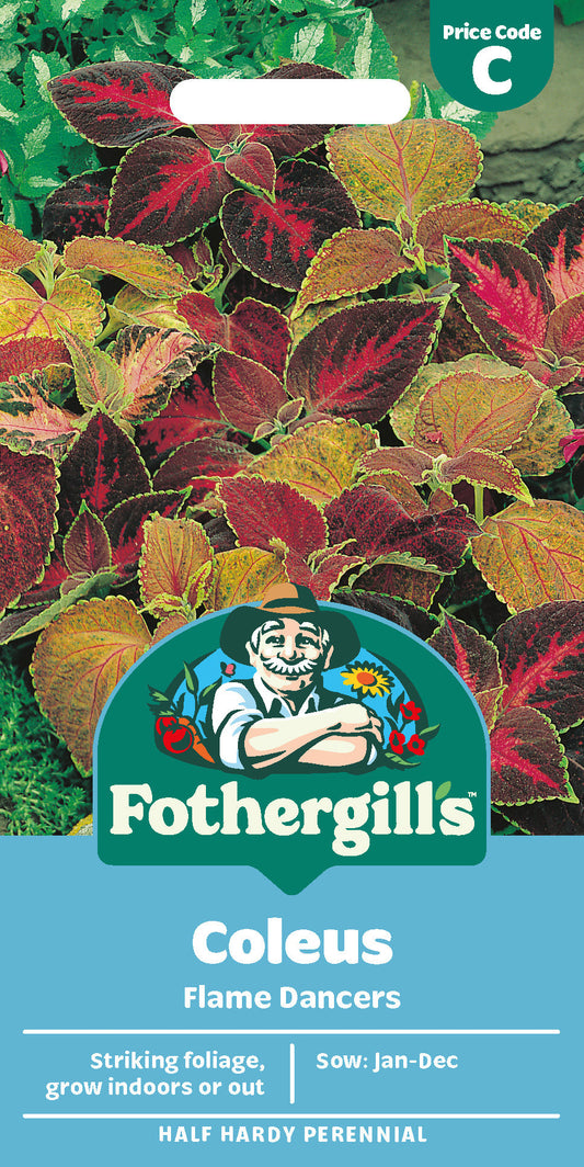 Mr Fothergill's Coleus Flame Dancers Seeds Packet