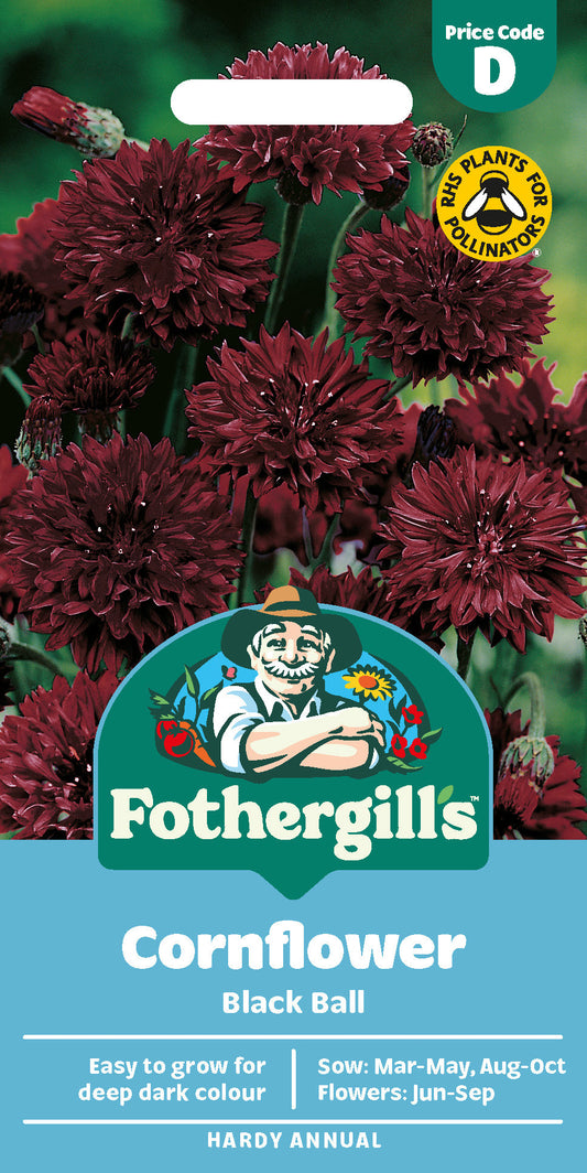 Mr Fothergill's Cornflower Black Ball Seeds Packet