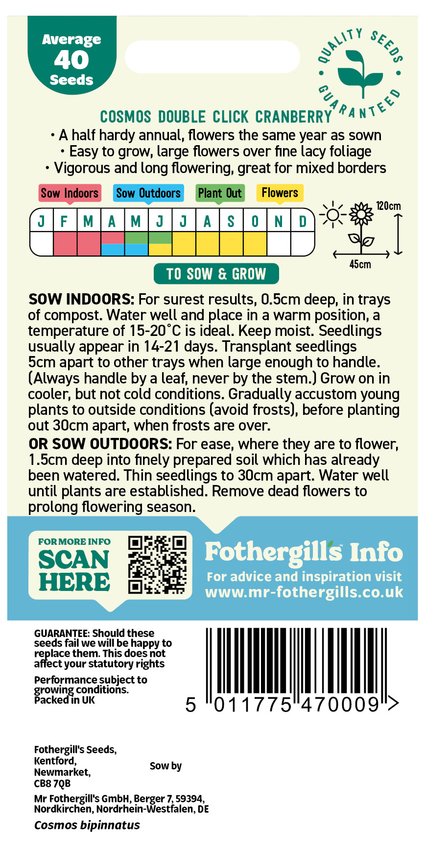 Mr Fothergill's Cosmos Double Click Cranberry Seeds Packet