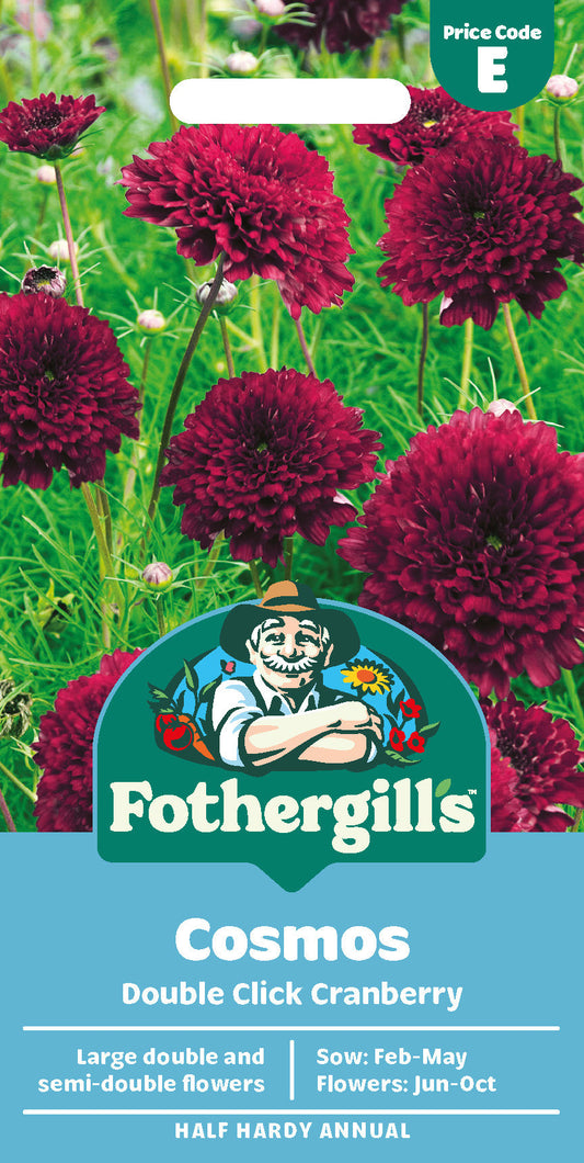 Mr Fothergill's Cosmos Double Click Cranberry Seeds Packet