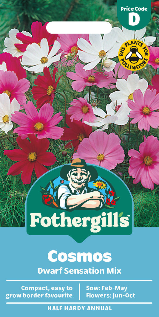 Mr Fothergill's Cosmos Dwarf Sensation Mix Seeds Packet