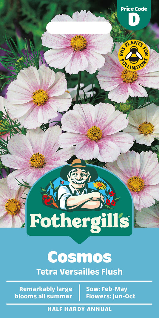 Mr Fothergill's Cosmos Tetra Versailles Flush Seeds Packet
