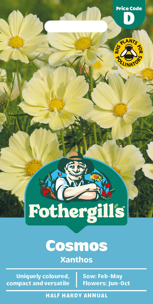 Mr Fothergill's Cosmos Xanthos Seeds Packet