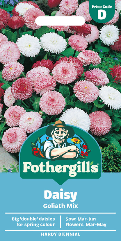 Mr Fothergill's Daisy Goliath Mix Seeds Packet
