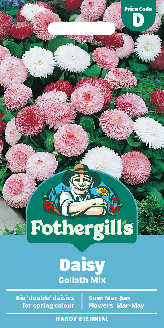 Mr Fothergill's Daisy Goliath Mix Seeds Packet