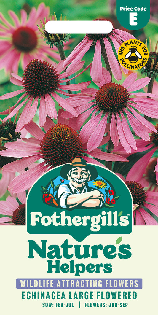Mr Fothergill's Echinacea Large Flowered Seeds Packet