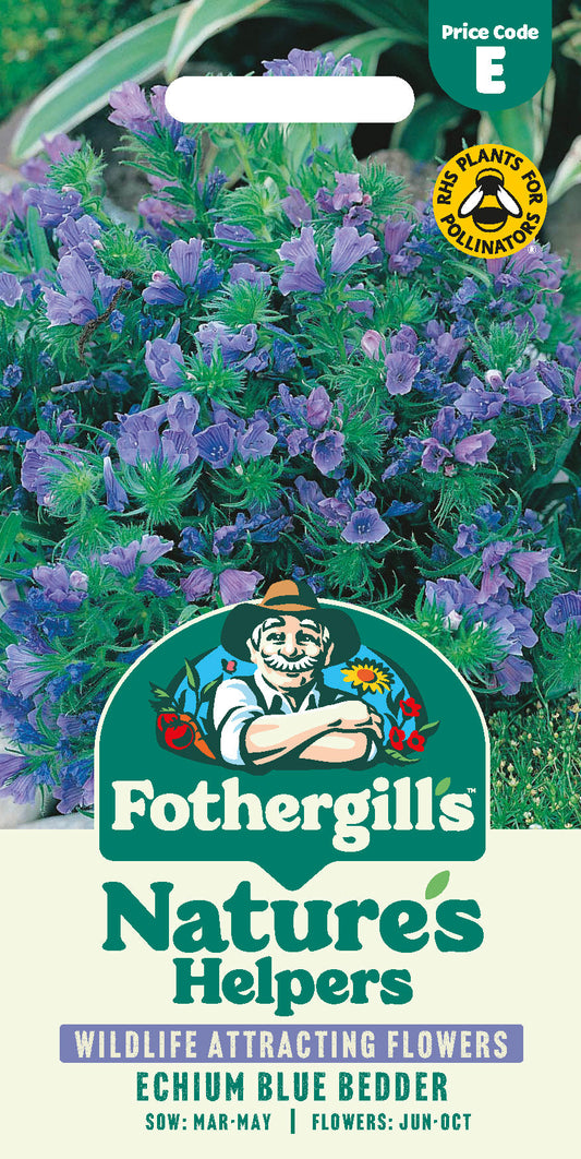 Mr Fothergill's Echium Blue Bedder Seeds Packet