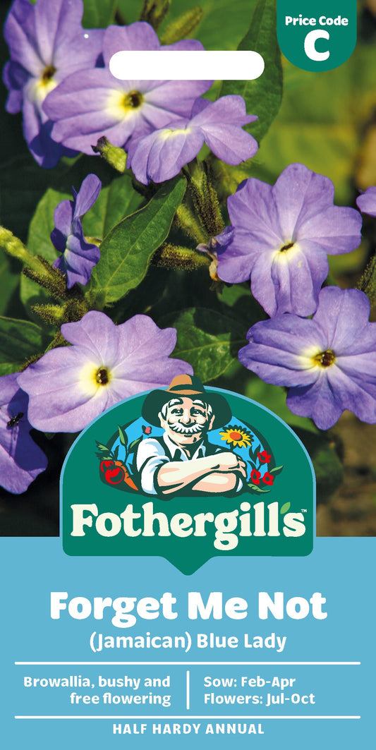 Mr Fothergill's Forget Me Not (Jamaican) Blue Lady Seeds Packet