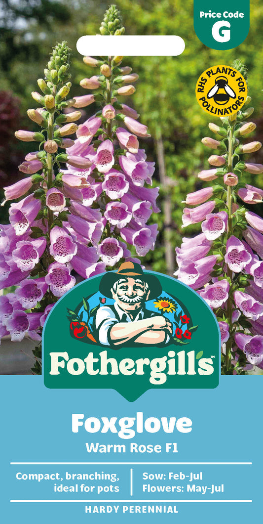 Mr Fothergill's Foxglove Warm Rose F1 Seeds Packet