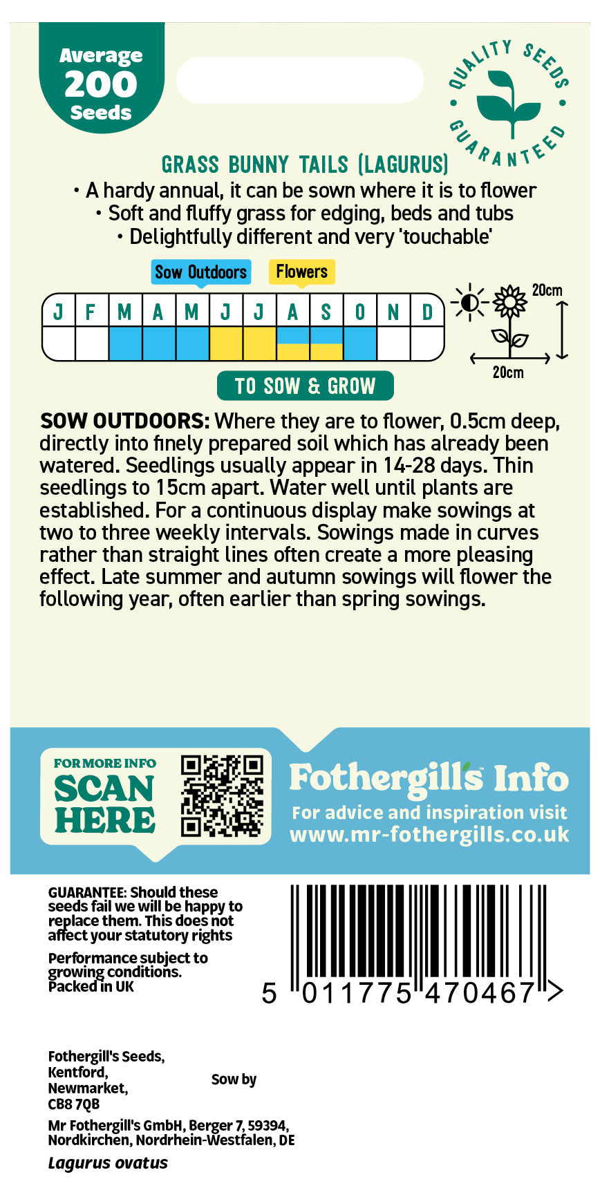Mr Fothergill's Grass Bunny Tails (Lagurus) Seeds Packet