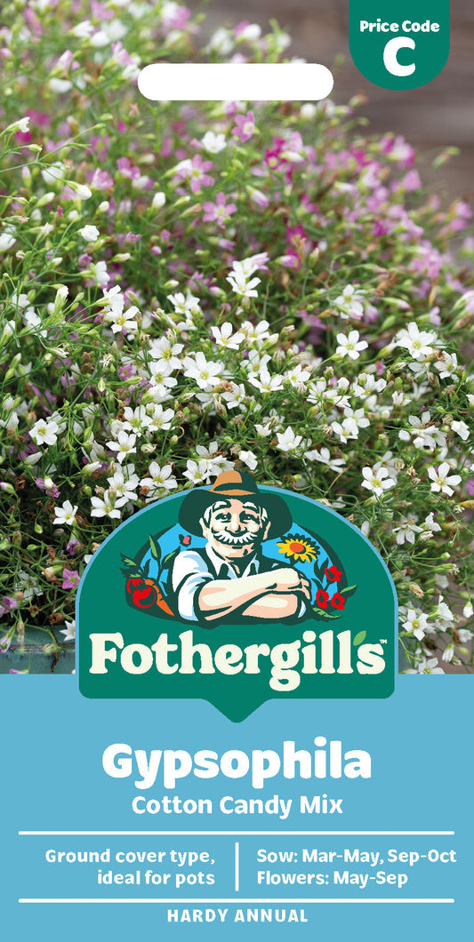 Mr Fothergill's Gypsophila Cotton Candy Mix Seeds Packet