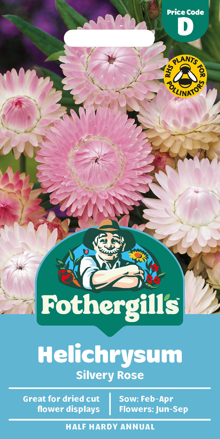 Mr Fothergill's Helichrysum Silvery Rose Seeds Packet