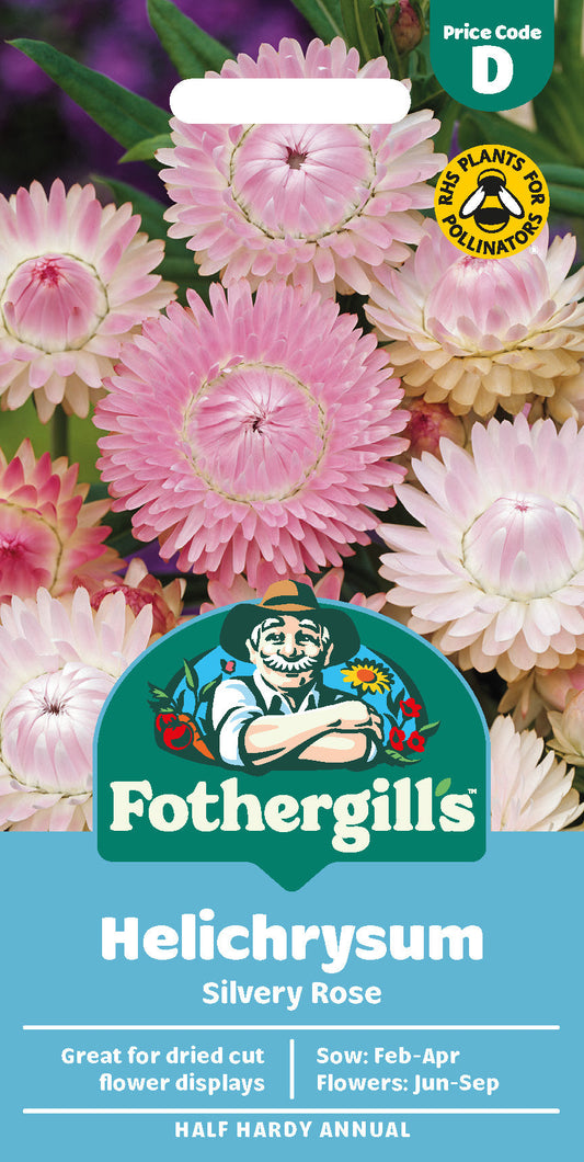 Mr Fothergill's Helichrysum Silvery Rose Seeds Packet