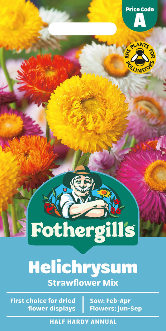 Mr Fothergill's Helichrysum Strawflower Mix Seeds Packet