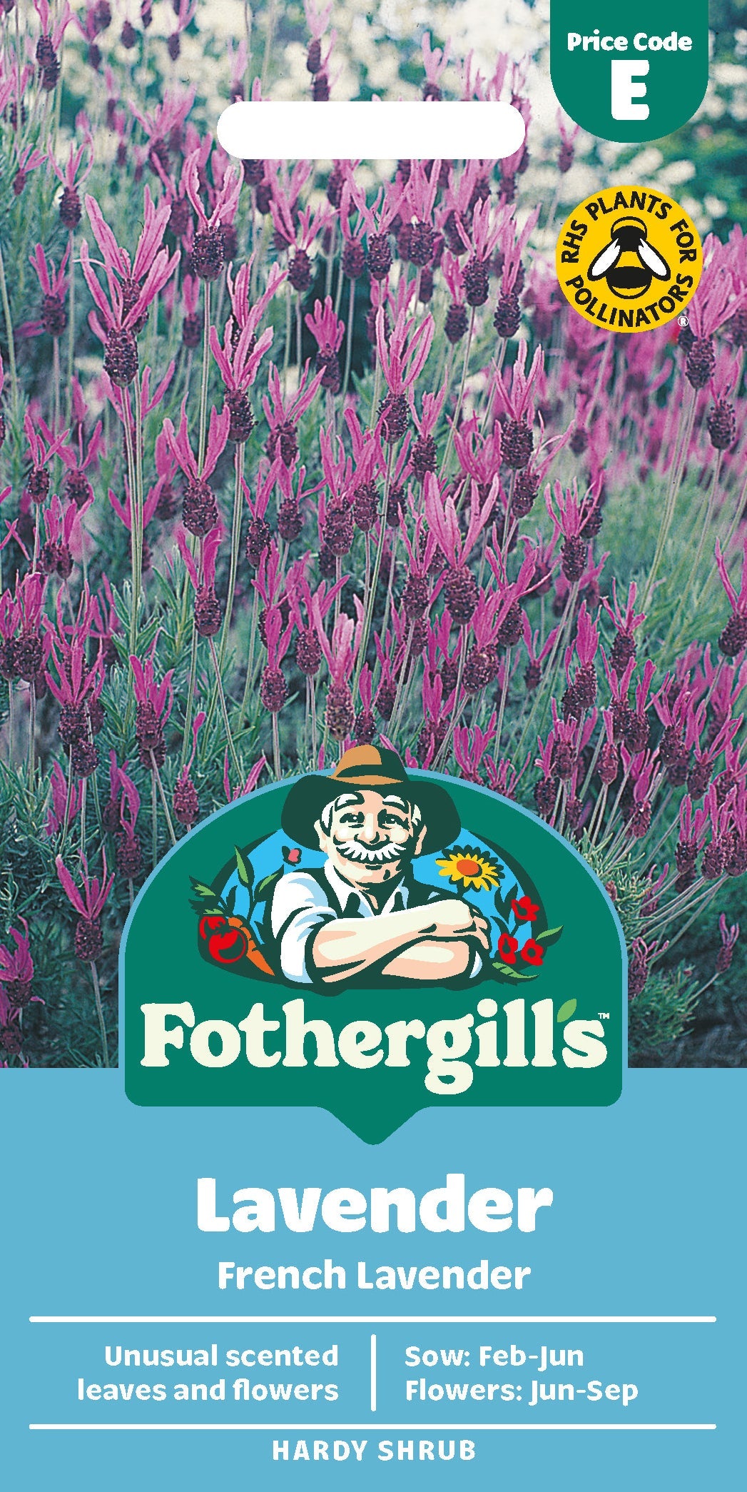 Mr Fothergill's Lavender French Lavender Seeds Packet