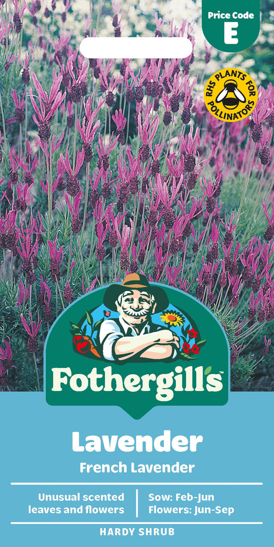 Mr Fothergill's Lavender French Lavender Seeds Packet