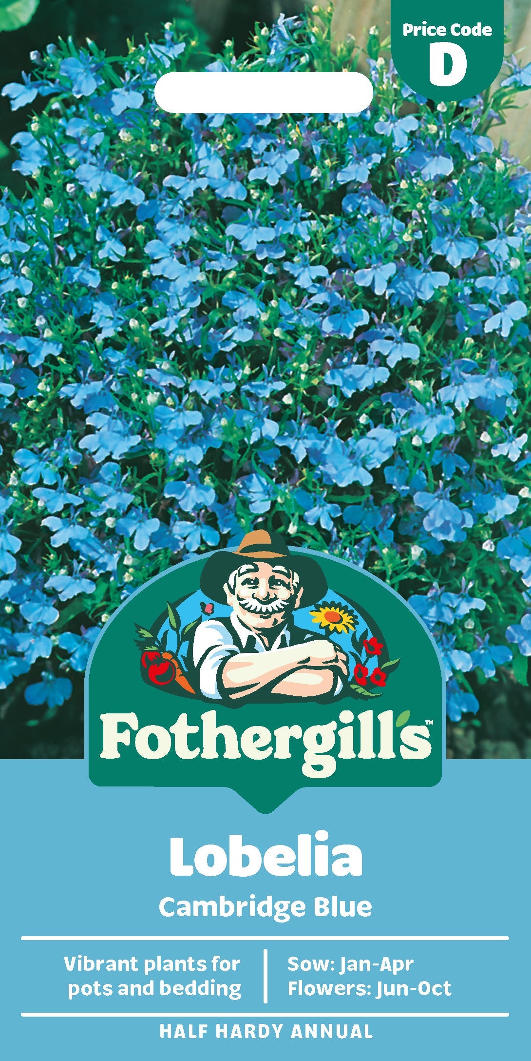 Mr Fothergill's Lobelia (Trailing) Cambridge Blue Seeds Packet
