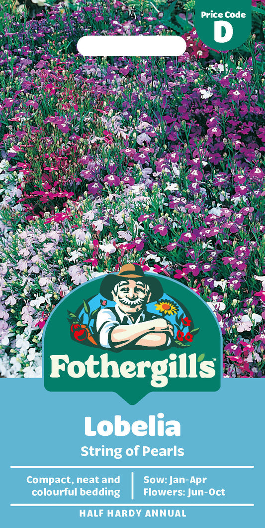 Mr Fothergill's Lobelia String Of Pearls Seeds Packet