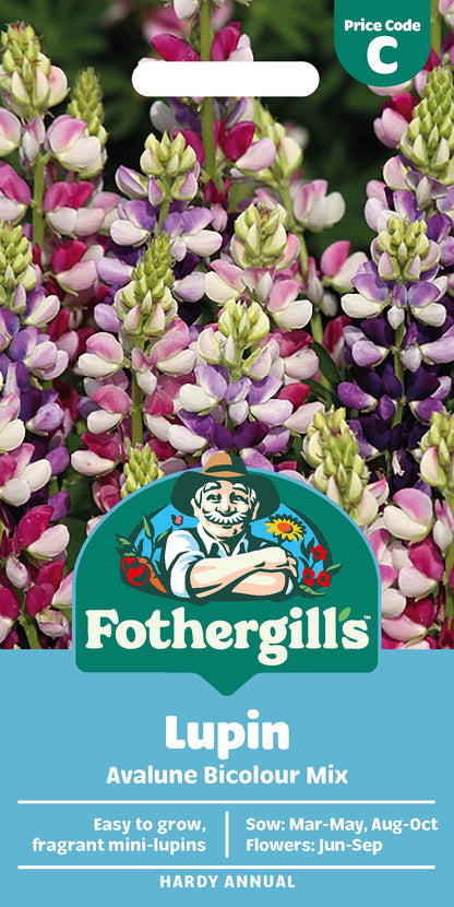 Mr Fothergill's Lupin Avalune Bicolour Mix Seeds Packet