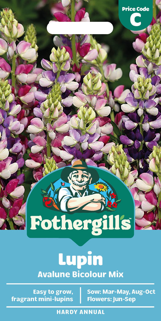 Mr Fothergill's Lupin Avalune Bicolour Mix Seeds Packet