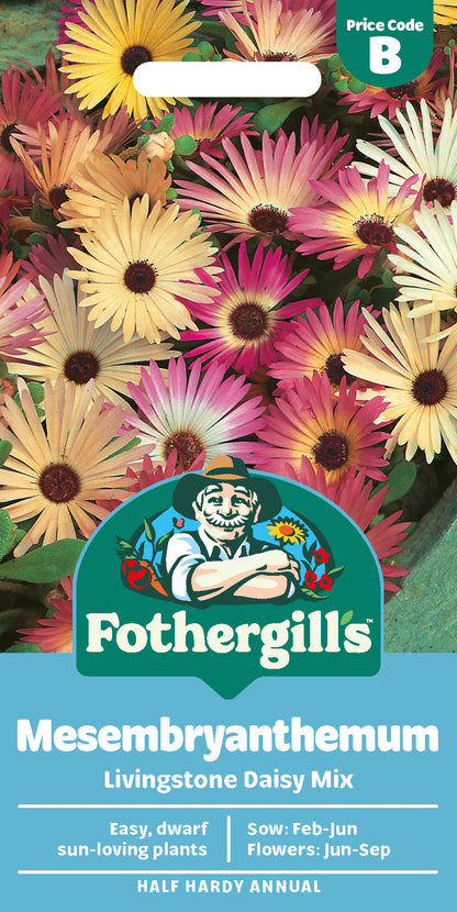 Mr Fothergill's Mesembryanthemum Livingstone Daisy Mix Seeds Packet