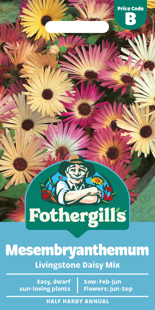 Mr Fothergill's Mesembryanthemum Livingstone Daisy Mix Seeds Packet